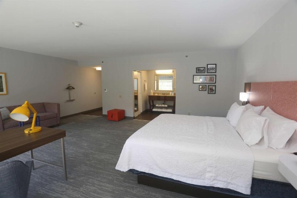 Hampton Inn By Hilton Owego NY image 15