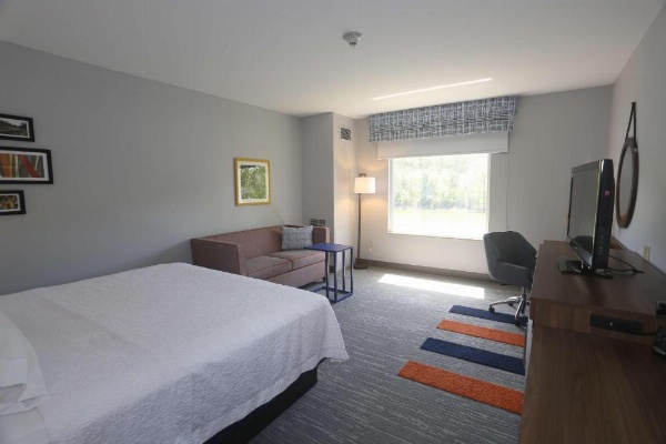 Hampton Inn By Hilton Owego NY image 16