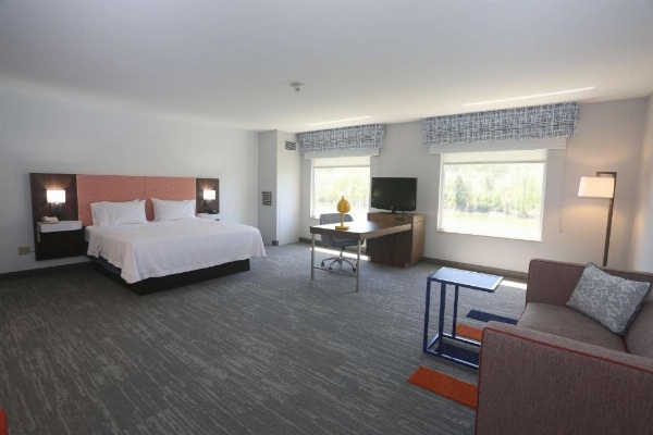 Hampton Inn By Hilton Owego NY image 21