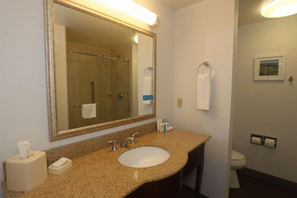 Hampton Inn By Hilton Owego NY image 22