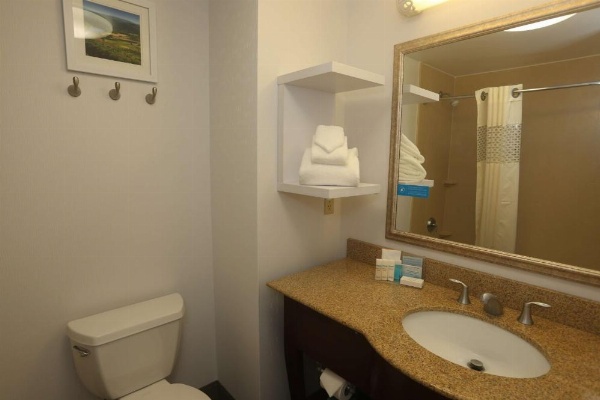 Hampton Inn By Hilton Owego NY image 24