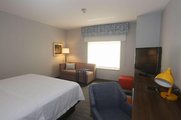 Hampton Inn By Hilton Owego NY image 27